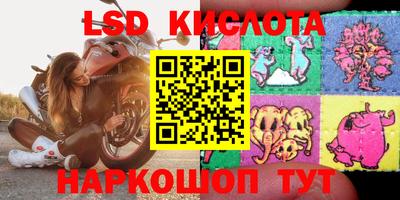 эйфоретик Кингисепп
