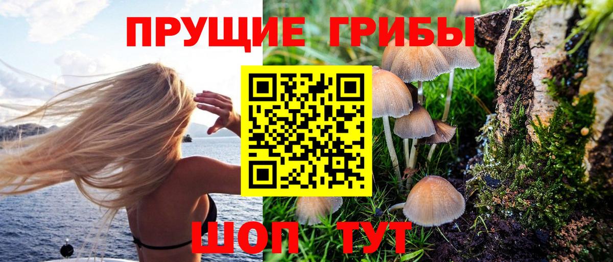 APVP Каспийск