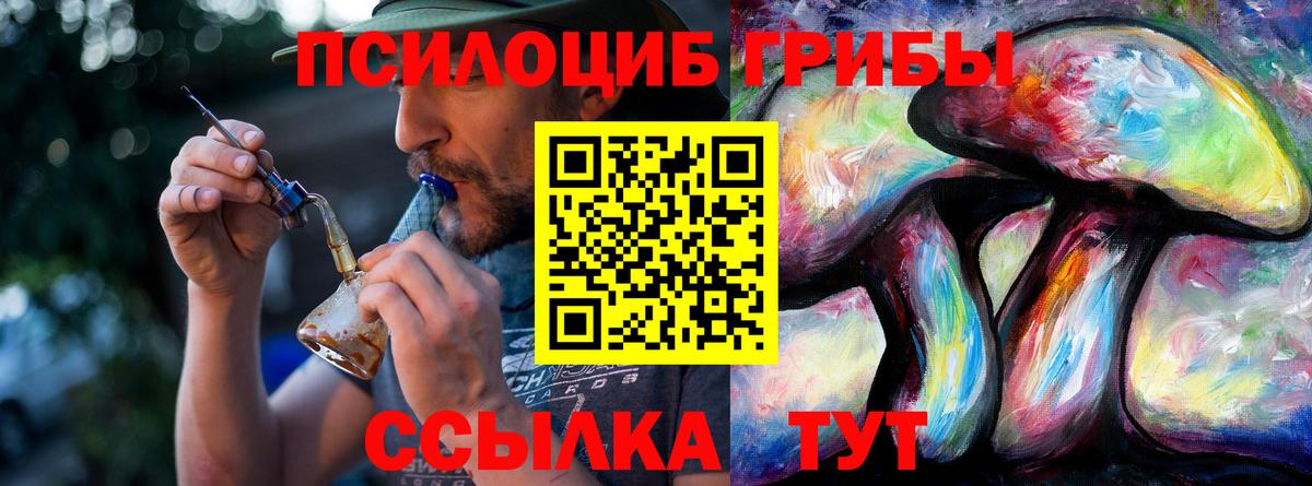 Псилоцибиновые грибы прущие грибы Каспийск