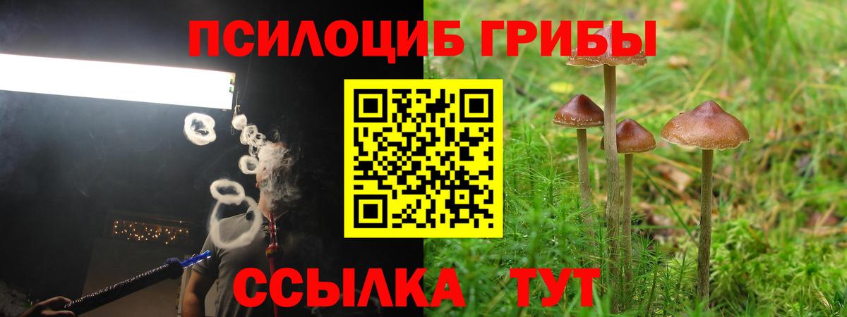 Каспийск  Галлюциногенные грибы ЛСД  Вход с VPN  Галлюциногенные грибы мицелий 